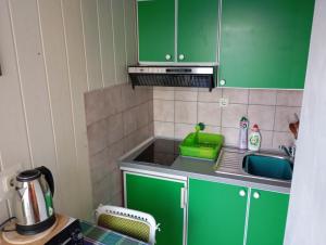 Kuchyň nebo kuchyňský kout v ubytování Apartments Ivo