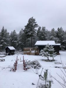 Timber cottages with jacuzzi and sauna near lake Vänern v zimě