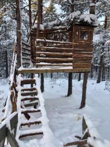 Timber cottages with jacuzzi and sauna near lake Vänern v zimě
