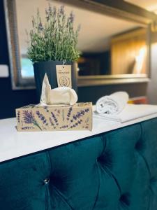 Fotografie z fotogalerie ubytování Rooms & Apartment ZALA Airport shuttle option v destinaci Cerklje na Gorenjskem
