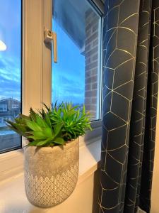 a plant sitting on a window sill next to a window at Detached 3-Bedroom Home in a Quiet Derby Neighbourhood in Mickleover in Derby