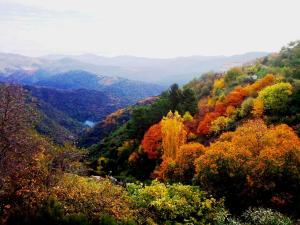 ヒメラ・デ・リバルにあるCabañas Jimera de Líbarの秋の木々の山の景色