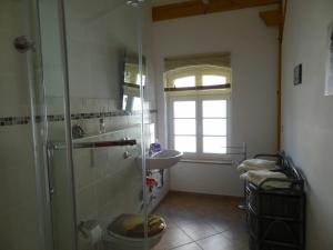 ein Bad mit einer Dusche und einem Waschbecken in der Unterkunft Nitschke "Zum Nusshof" in Ahrensfelde