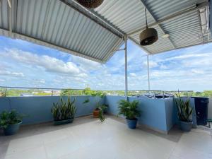 a balcony with potted plants and a blue wall at Amoblados la 19 in Ríohacha