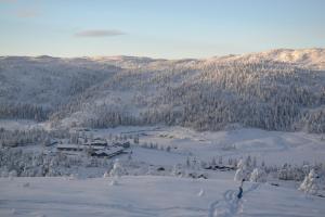 Fotografie z fotogalerie ubytování Ski Lodge Gautefall v destinaci Gautefall