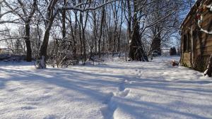 einen schneebedeckten Weg mit Bäumen im Hintergrund in der Unterkunft Nitschke "Zum Nusshof" in Ahrensfelde