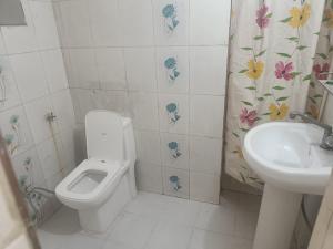 a bathroom with a toilet and a sink at Bhiwani Guest House in Jaipur +38 photos