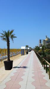 un marciapiede con una palma su una spiaggia di Appartamenti Bedin, JESOLO a Lido di Jesolo