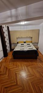 Gallery image of Amedeea Accomodation 2 in Timişoara +7 photos