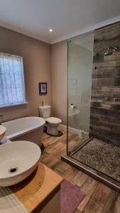 a bathroom with a shower and a toilet and a sink at Bird Song in Cape Town +11 photos
