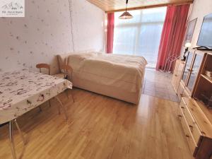 a bedroom with a bed and a table and a television at Apartment Theresia by FiS - Fun in Styria in Bad Mitterndorf