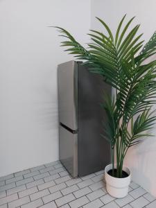 a plant in a pot next to a refrigerator at Rooftop Apartments - Gemütliches Apartment 4P nahe Ratiopharm Arena in Neu Ulm