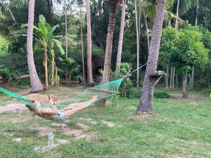 Giardino di Chill House Hostel