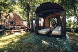 a tent in the grass with two beds in it at Pole Namiotowe Kogutowo in Wietrzychowice +4 photos