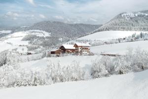 Großkarnaiderhof Appartements-Bauernhof-Natur pur v zimě