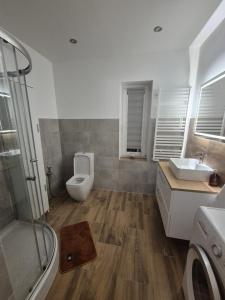 Ένα μπάνιο στο Urocze Apartamenty +54 φωτογραφίες