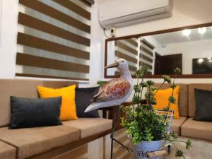 a bird standing on a table next to a couch at Samong Transient House in Imus