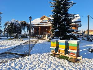 莱尼Casa Matilde的雪中有一棵圣诞树的房子