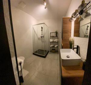 a bathroom with a sink and a shower and a toilet at Polonia Apartments No-68 Near Piotrkowska in Łódź