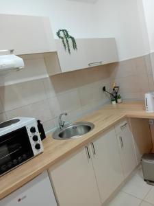 Kuhinja ili čajna kuhinja u objektu NINA 3 AKVA PARK adr Stevana Ivanovica 1