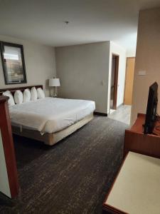 Postel nebo postele na pokoji v ubytování Shilo Inn Suites Salem