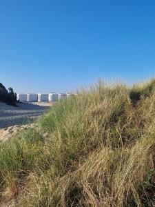 Paesaggio naturale nelle vicinanze dell'appartamento