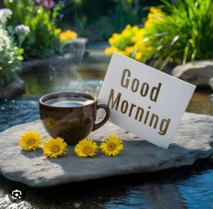 Certifikát, hodnocení, plakát nebo jiný dokument vystavený v ubytování Hotel The Golden Paradise