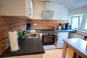 a kitchen with a sink and a counter top at Littehof - Ferienwohnungen in der Oberlausitz in Löbau
