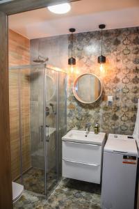 W łazience znajduje się prysznic, umywalka i lustro. w obiekcie Copper Apartment w Grudziądzu