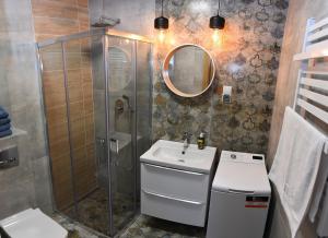 W łazience znajduje się prysznic, umywalka i lustro. w obiekcie Copper Apartment w Grudziądzu +16 zdjęć