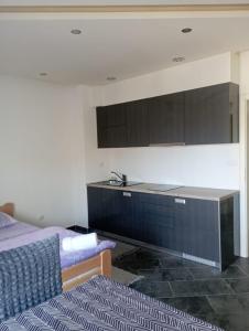 a kitchen with a bed and a sink in a room at Apartman BOKA in Banja Koviljača