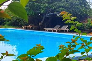 Bazén v ubytování Ocean Villa Watamu - Exclusive Villa in Kenya with Pool and Tropical Garden nebo v jeho okolí + 48 fotografií