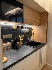 a kitchen with a sink and a counter top at Cozy design 1 bedroom apartment in Bansko