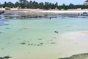 Příroda nedaleko vily