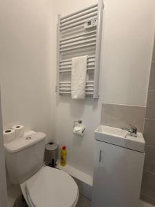 a white bathroom with a toilet and a sink at Cosy Studio Central Colwyn Bay F2 in Colwyn Bay