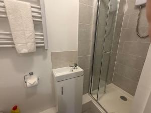 a bathroom with a shower and a toilet and a sink at Cosy Studio Central Colwyn Bay F2 in Colwyn Bay