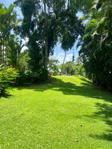 ヒッカドゥワにある101 Sterrling Villa - Private room 1のヤシの木と芝生が茂る緑豊かな庭