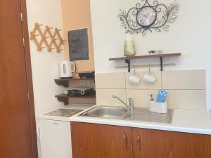 kuchnia ze zlewem i blatem w obiekcie Nikelen Lindian Exclusive Apartments w Líndos +37 zdjęć