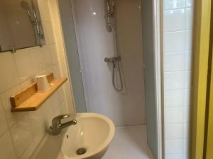 a bathroom with a sink and a shower at Le Bouf Tard CH 3 in Vendôme