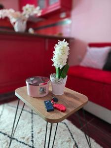 Afbeelding uit fotogalerij van Adel's in Subotica