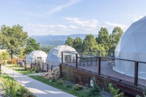 a group of domes with a view of the mountains at Idea by Glamp in Wojcieszyce