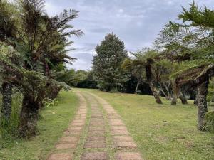 a dirt road in the middle of a field with trees at Eindelik on Setlaars in Graskop