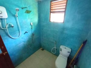 a blue bathroom with a shower and a toilet at vihanga homestay in Mirissa