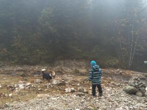 Domácí mazlíčci ubytovaní s hosty v ubytování Haus Waldrast