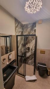 a bathroom with a shower and a sink at Heritage Boutique in Caracal +33 photos
