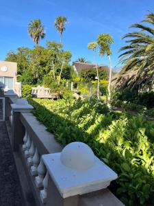 Κήπος έξω από το Somerset West Garden Apartments 3