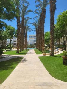 A garden outside oR-Ya Suite- Royal Park