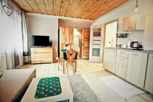 Kuchyňa alebo kuchynka v ubytovaní Nosalove Apartamenty