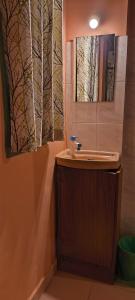 un bagno con lavandino e specchio di Tiny Temple a Varkala