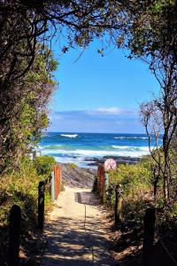 a path to the beach with the ocean in the background at Whispering Woods Cottage in Natureʼs Valley +16 photos